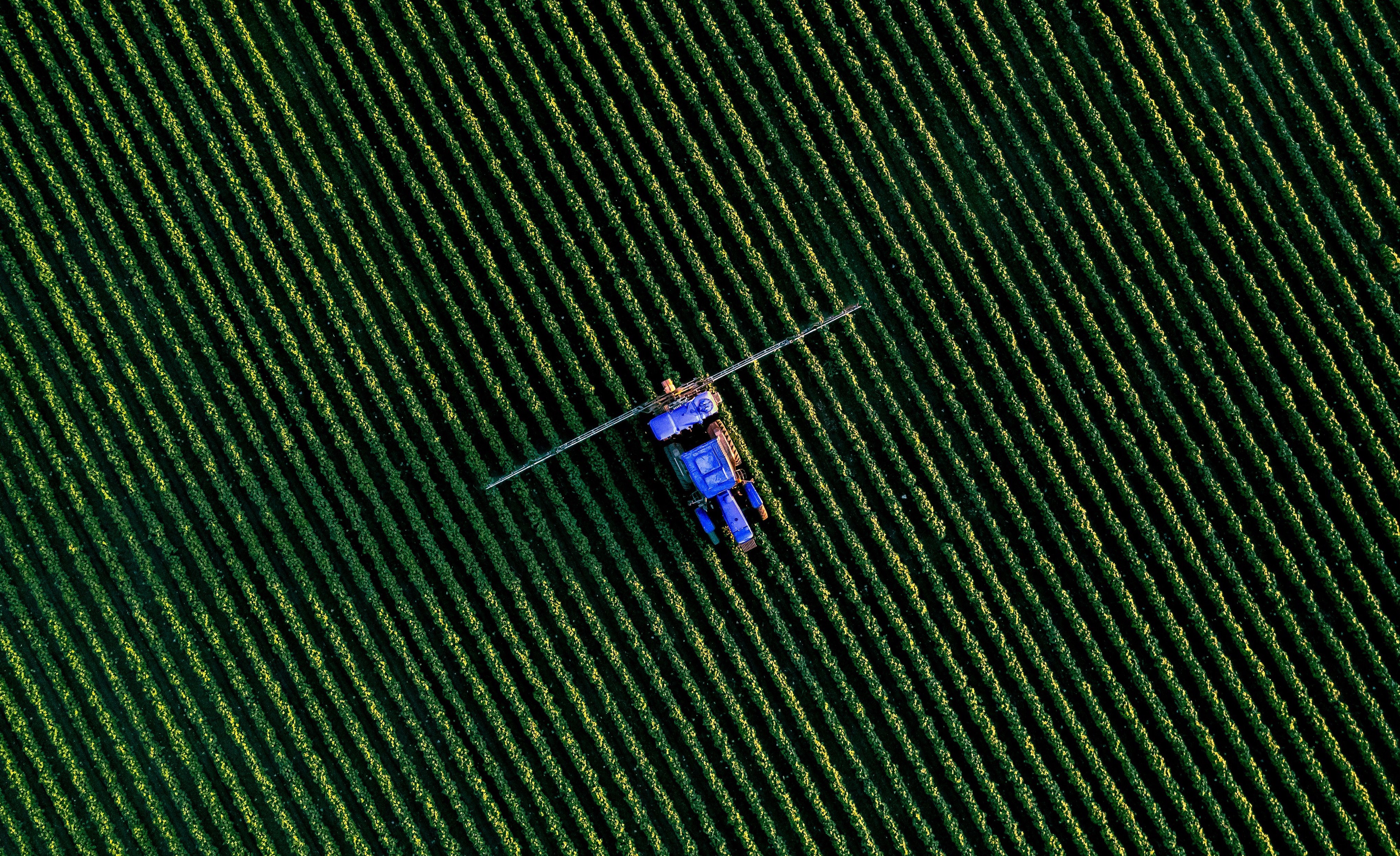Kviečiame į seminarą „Purškiamo silikono, taikymas dirvožemio drėgmės valdymui ir CO2 pėdsakų mažinimui“