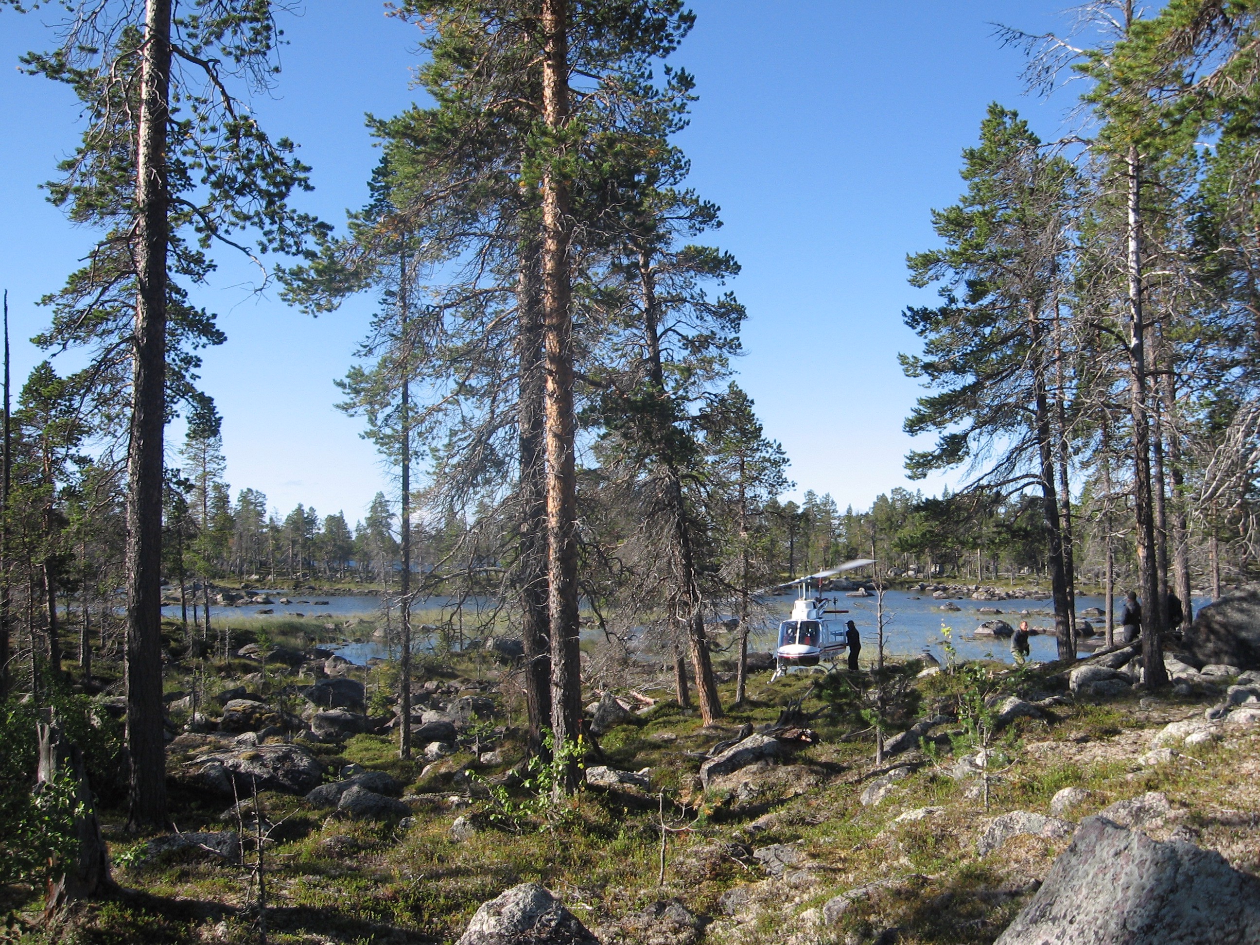 LIK dalyvauja CO-FOREST projekte 